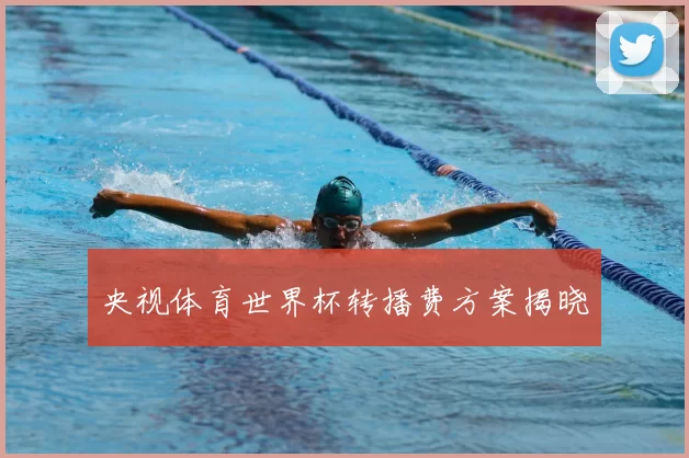 央视体育世界杯转播费方案揭晓