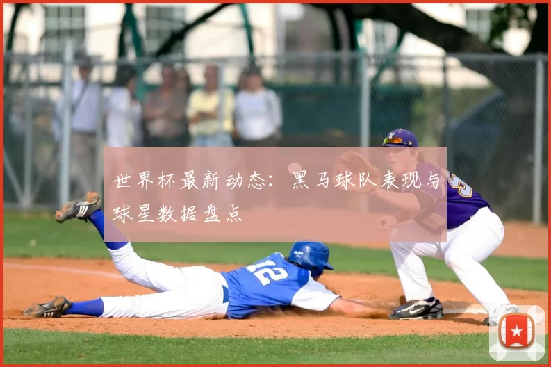 世界杯最新动态:黑马球队表现与球星数据盘点