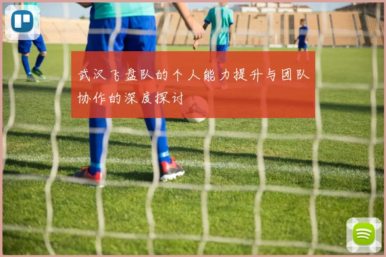 武汉飞盘队的个人能力提升与团队协作的深度探讨