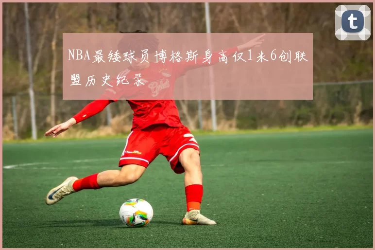 NBA最矮球员博格斯身高仅1米6创联盟历史纪录