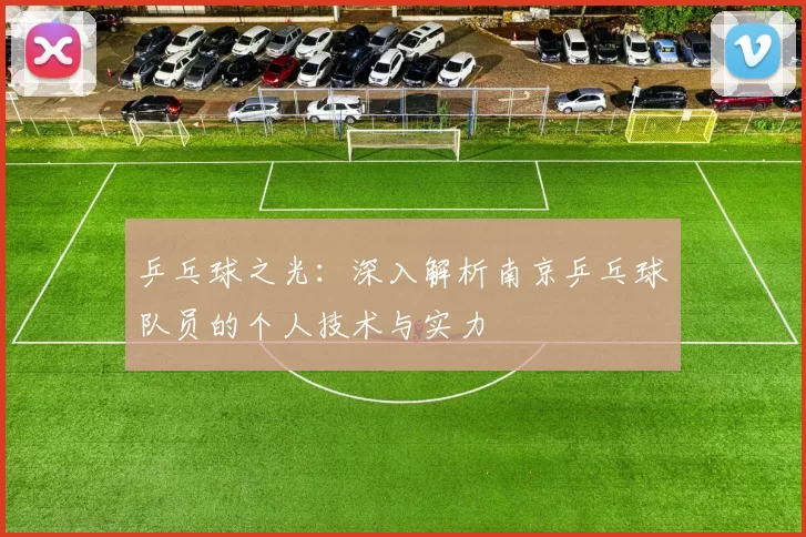 乒乓球之光:深入解析南京乒乓球队员的个人技术与实力