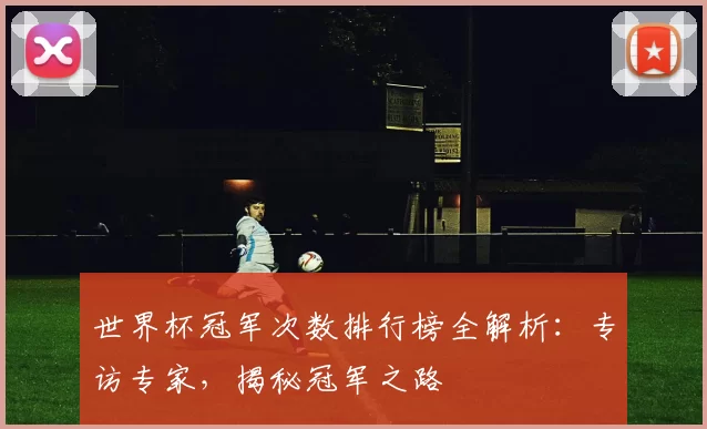 世界杯冠军次数排行榜全解析：专访专家，揭秘冠军之路